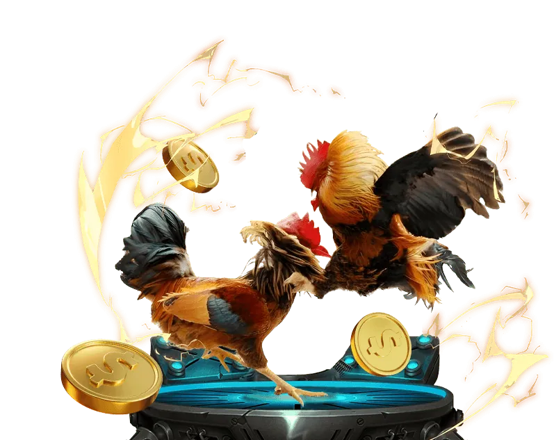 Hình ảnh minh họa thu thập dữ liệu người dùng trên trang web cá cược uy tín